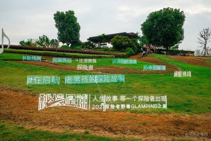 雨后盛放